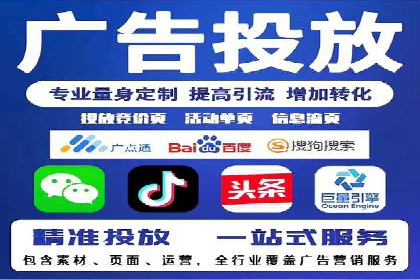 SEO百度推广策略：成功案例解析